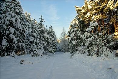 《星空》新Bug出现 游玩越久存档越容易崩溃